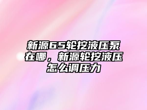 新源65輪挖液壓泵在哪，新源輪挖液壓怎么調(diào)壓力