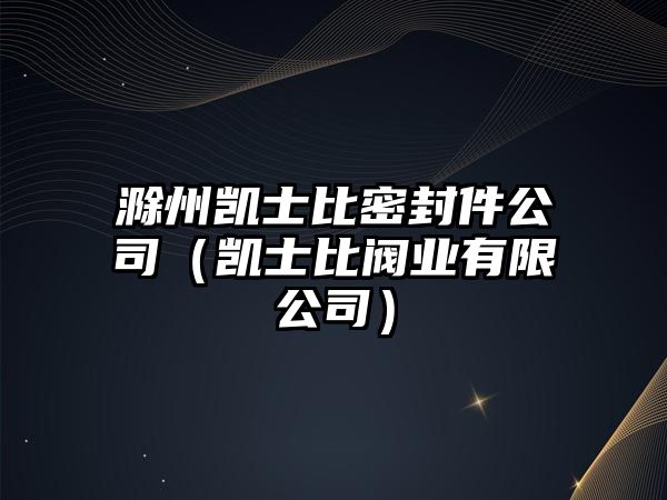 滁州凱士比密封件公司（凱士比閥業(yè)有限公司）