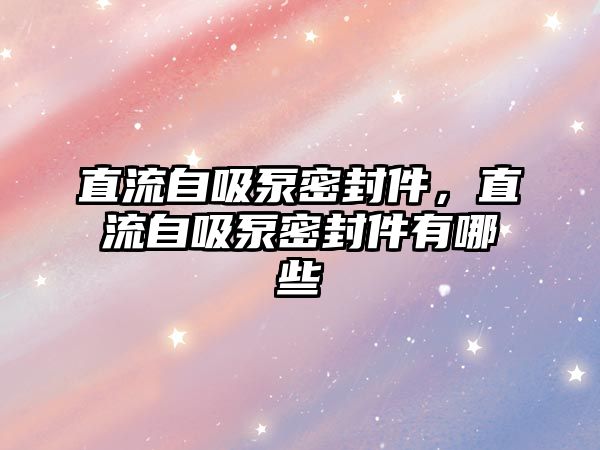 直流自吸泵密封件，直流自吸泵密封件有哪些