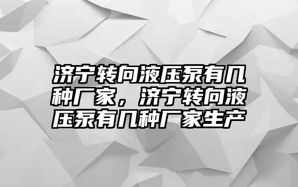 濟寧轉向液壓泵有幾種廠家，濟寧轉向液壓泵有幾種廠家生產