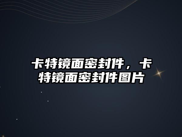 卡特鏡面密封件，卡特鏡面密封件圖片