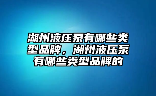 湖州液壓泵有哪些類型品牌，湖州液壓泵有哪些類型品牌的