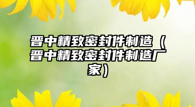 晉中精致密封件制造（晉中精致密封件制造廠家）