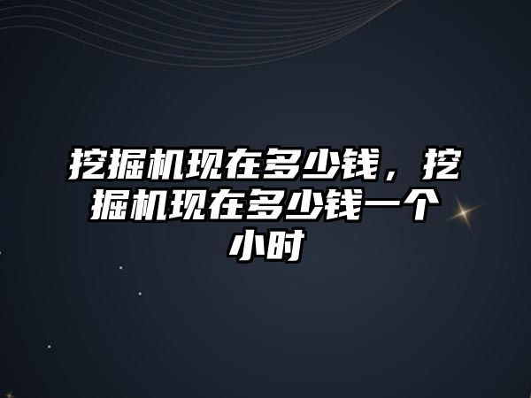 挖掘機現(xiàn)在多少錢，挖掘機現(xiàn)在多少錢一個小時