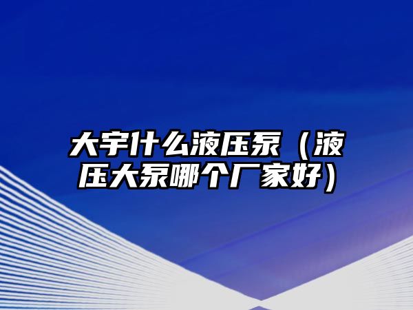 大宇什么液壓泵（液壓大泵哪個(gè)廠家好）