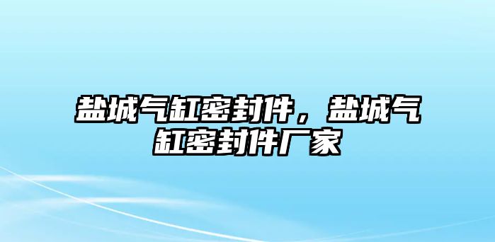 鹽城氣缸密封件，鹽城氣缸密封件廠家