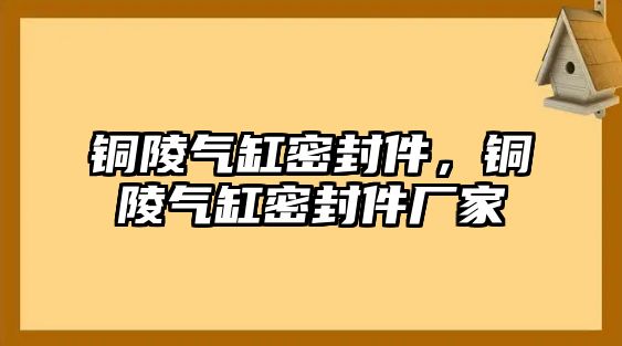 銅陵氣缸密封件，銅陵氣缸密封件廠家