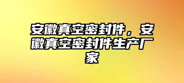 安徽真空密封件，安徽真空密封件生產(chǎn)廠家