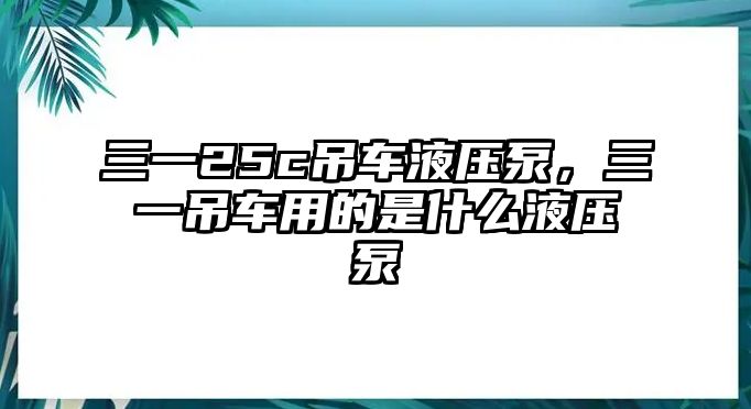 三一25c吊車液壓泵，三一吊車用的是什么液壓泵