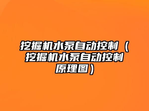 挖掘機水泵自動控制（挖掘機水泵自動控制原理圖）