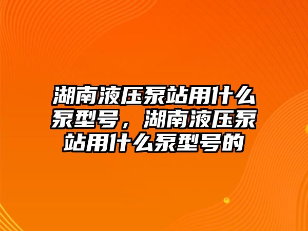 湖南液壓泵站用什么泵型號，湖南液壓泵站用什么泵型號的