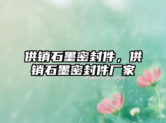 供銷(xiāo)石墨密封件，供銷(xiāo)石墨密封件廠(chǎng)家