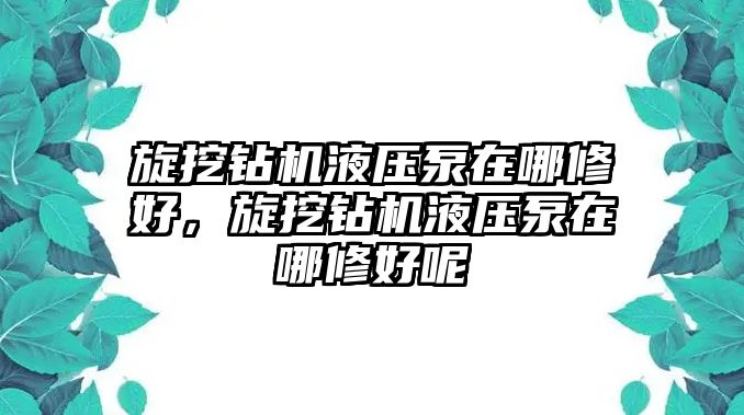 旋挖鉆機液壓泵在哪修好，旋挖鉆機液壓泵在哪修好呢