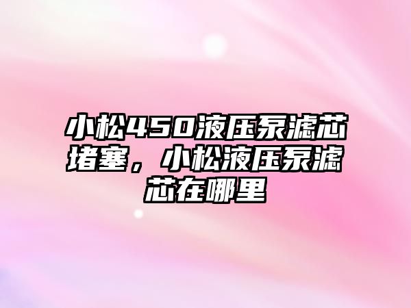 小松450液壓泵濾芯堵塞，小松液壓泵濾芯在哪里