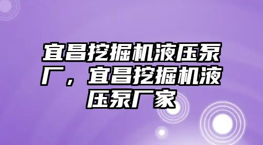 宜昌挖掘機液壓泵廠，宜昌挖掘機液壓泵廠家