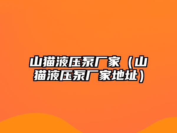 山貓液壓泵廠家（山貓液壓泵廠家地址）