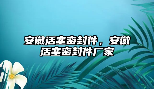 安徽活塞密封件，安徽活塞密封件廠家