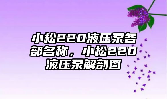 小松220液壓泵各部名稱，小松220液壓泵解剖圖