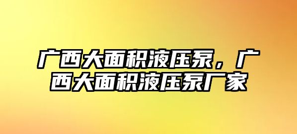 廣西大面積液壓泵，廣西大面積液壓泵廠家