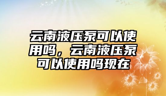 云南液壓泵可以使用嗎，云南液壓泵可以使用嗎現(xiàn)在