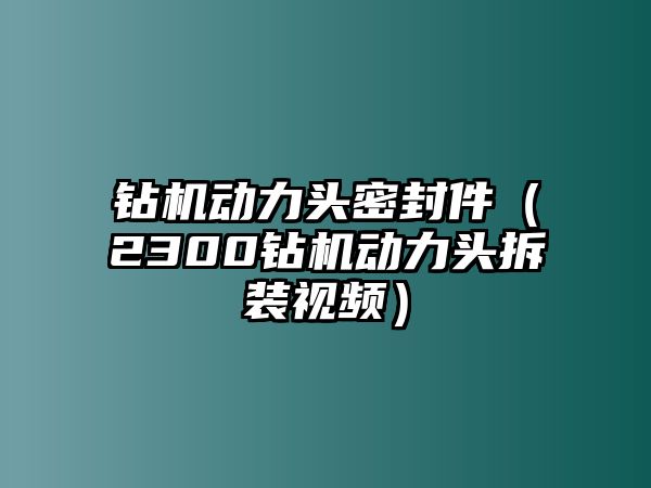 鉆機(jī)動力頭密封件（2300鉆機(jī)動力頭拆裝視頻）