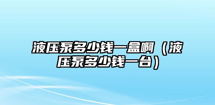 液壓泵多少錢(qián)一盒?。ㄒ簤罕枚嗌馘X(qián)一臺(tái)）