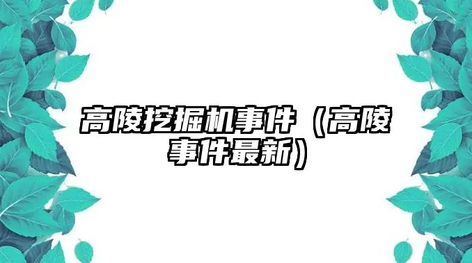 高陵挖掘機事件（高陵事件最新）