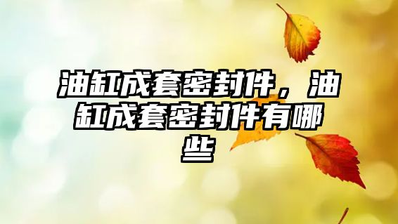 油缸成套密封件，油缸成套密封件有哪些