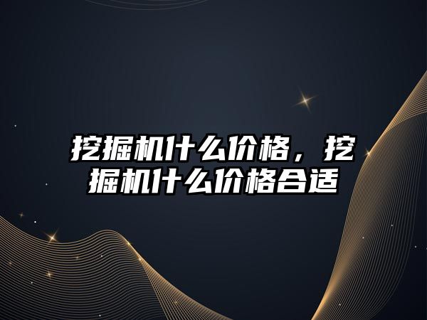 挖掘機什么價格，挖掘機什么價格合適