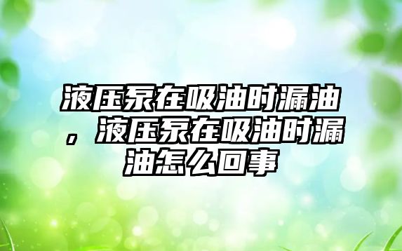 液壓泵在吸油時漏油，液壓泵在吸油時漏油怎么回事