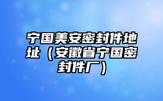 寧國(guó)美安密封件地址（安徽省寧國(guó)密封件廠）