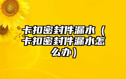 卡扣密封件漏水（卡扣密封件漏水怎么辦）