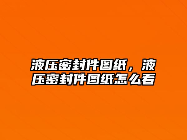 液壓密封件圖紙，液壓密封件圖紙怎么看