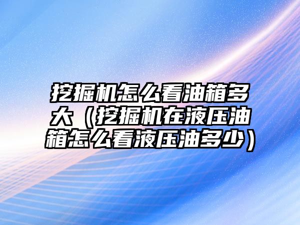 挖掘機怎么看油箱多大（挖掘機在液壓油箱怎么看液壓油多少）