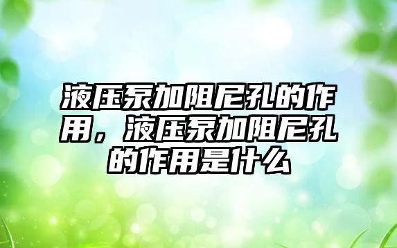 液壓泵加阻尼孔的作用，液壓泵加阻尼孔的作用是什么