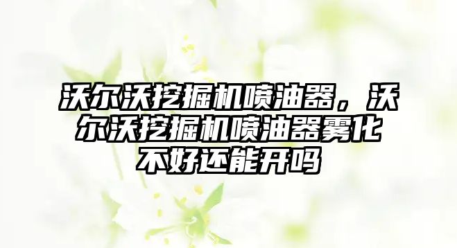 沃爾沃挖掘機噴油器，沃爾沃挖掘機噴油器霧化不好還能開嗎