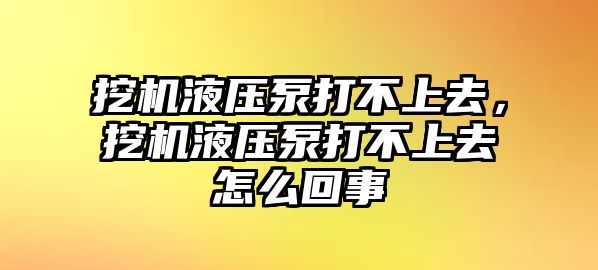 挖機(jī)液壓泵打不上去，挖機(jī)液壓泵打不上去怎么回事