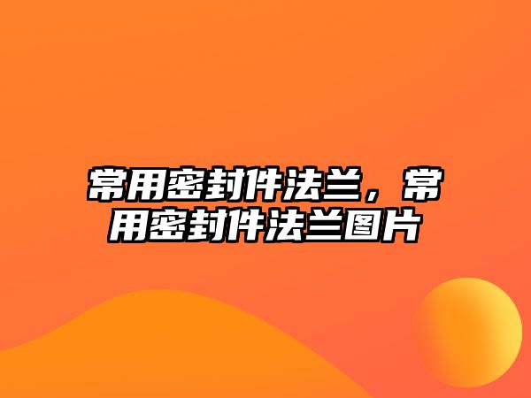 常用密封件法蘭，常用密封件法蘭圖片