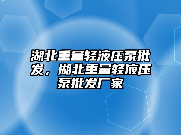 湖北重量輕液壓泵批發(fā)，湖北重量輕液壓泵批發(fā)廠家