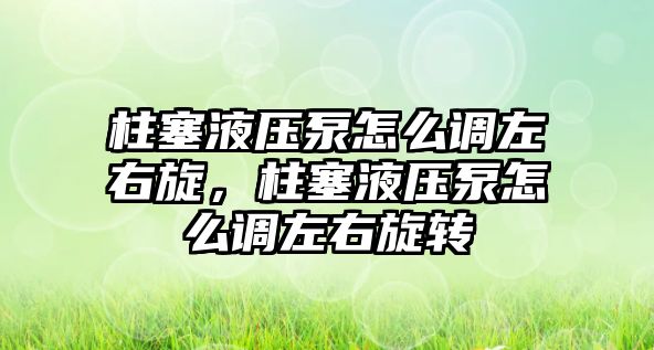 柱塞液壓泵怎么調(diào)左右旋，柱塞液壓泵怎么調(diào)左右旋轉(zhuǎn)