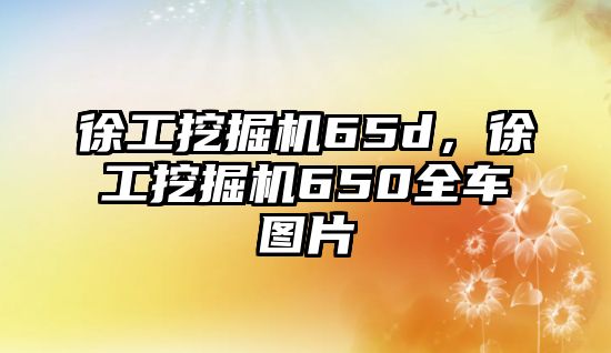 徐工挖掘機65d，徐工挖掘機650全車圖片