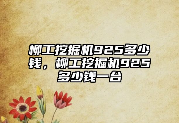 柳工挖掘機925多少錢，柳工挖掘機925多少錢一臺