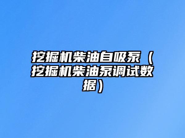 挖掘機(jī)柴油自吸泵（挖掘機(jī)柴油泵調(diào)試數(shù)據(jù)）