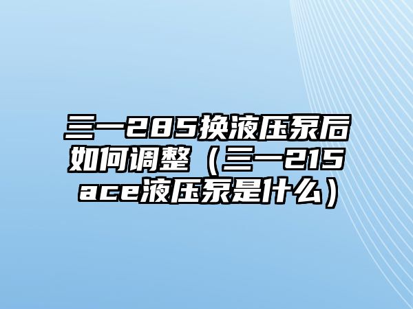 三一285換液壓泵后如何調(diào)整（三一215ace液壓泵是什么）