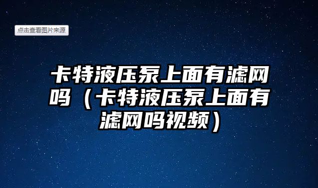 卡特液壓泵上面有濾網(wǎng)嗎（卡特液壓泵上面有濾網(wǎng)嗎視頻）