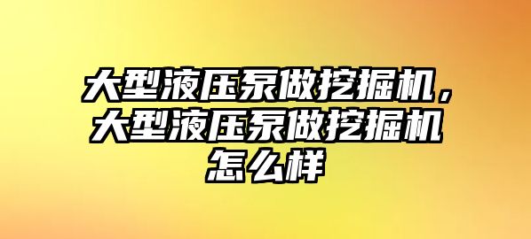 大型液壓泵做挖掘機(jī)，大型液壓泵做挖掘機(jī)怎么樣