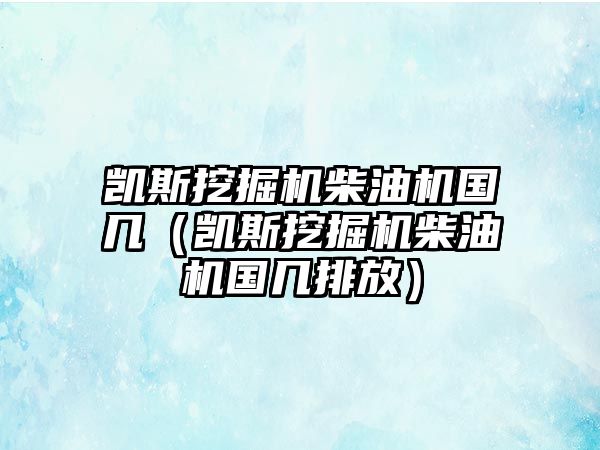 凱斯挖掘機(jī)柴油機(jī)國幾（凱斯挖掘機(jī)柴油機(jī)國幾排放）