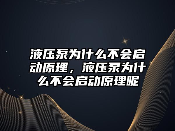 液壓泵為什么不會啟動原理，液壓泵為什么不會啟動原理呢