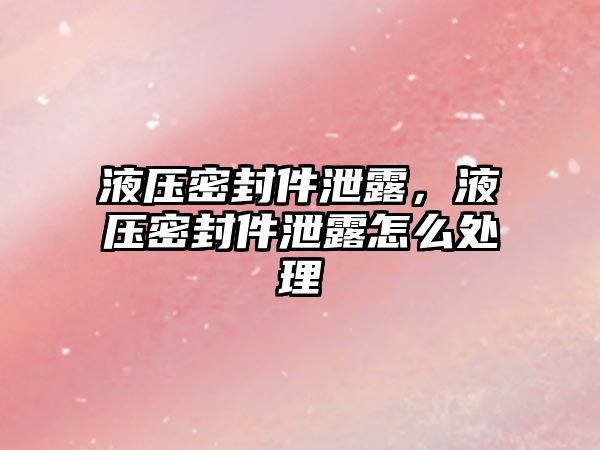 液壓密封件泄露，液壓密封件泄露怎么處理