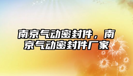 南京氣動密封件，南京氣動密封件廠家